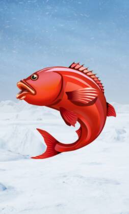 Ice Fishing – VinciSpin
